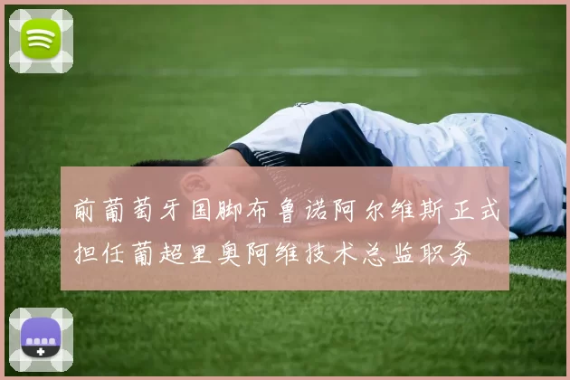 前葡萄牙国脚布鲁诺阿尔维斯正式担任葡超里奥阿维技术总监职务